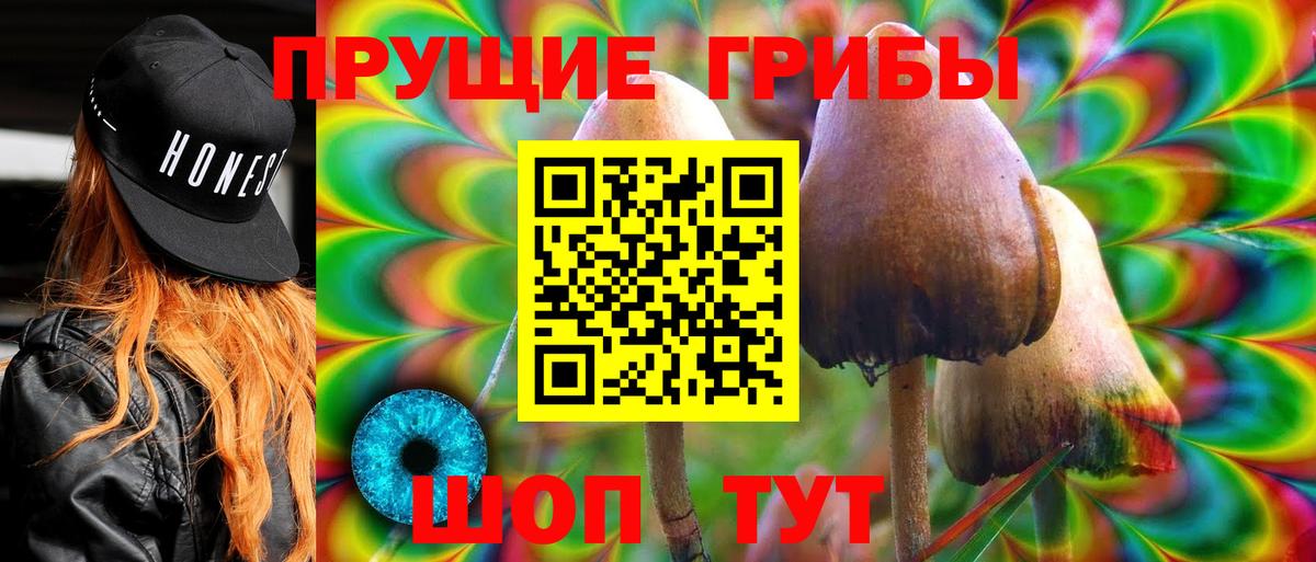 Богородск  Галлюциногенные грибы Psilocybe  Вход с VPN 