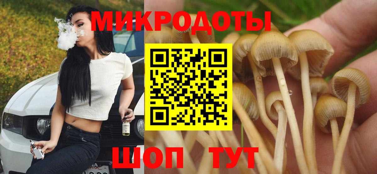 Галлюциногенные грибы Psilocybe Богородск